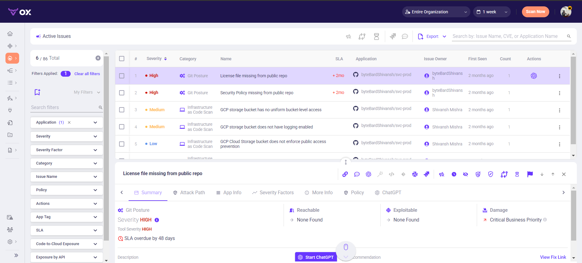 Selecting an issue opened a detailed summary tab